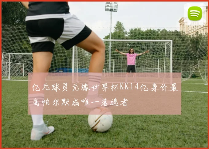 亿元球员无缘世界杯KK14亿身价最高帕尔默成唯一落选者